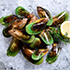 Mussels, Oysters & Scallops