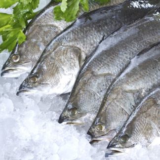 Whole Barramundi Frozen 600-800g