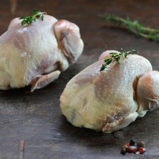 Myee Quails 6 Pack