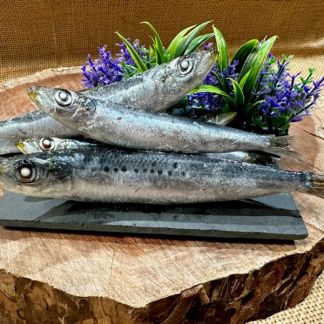 Frozen Whole Sardines