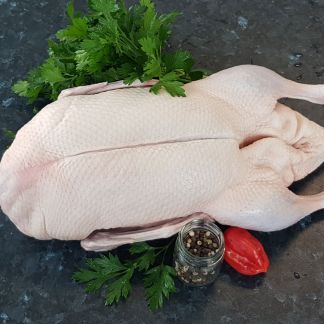 Duck Whole 2.2kg