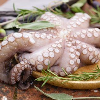 Whole Octopus