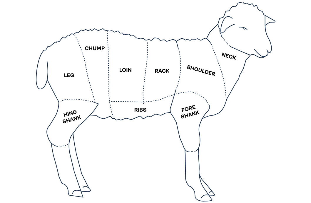 Lamb
